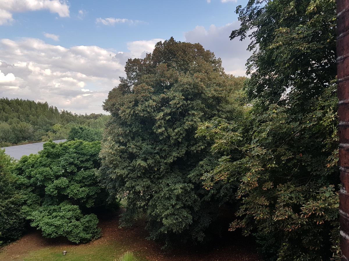 Chateau Lambert Moulinsart Hotel, Shuttle Airport, Long Term Parking, Snooker, Large Terrasse, Dinner, Breakfast Charleroi Zewnętrze zdjęcie